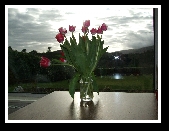 Dunmanway Photo Class