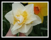 Dunmanway Photo Class
