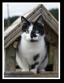 Dunmanway Photo Class