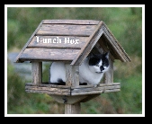 Dunmanway Photo Class