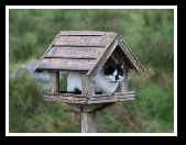 Dunmanway Photo Class