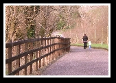 Dunmanway Photo Class