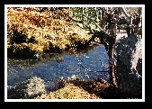 Dunmanway Photo Class