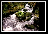 Dunmanway Photo Class