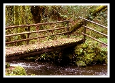 Dunmanway Photo Class