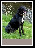 Dunmanway Photo Class